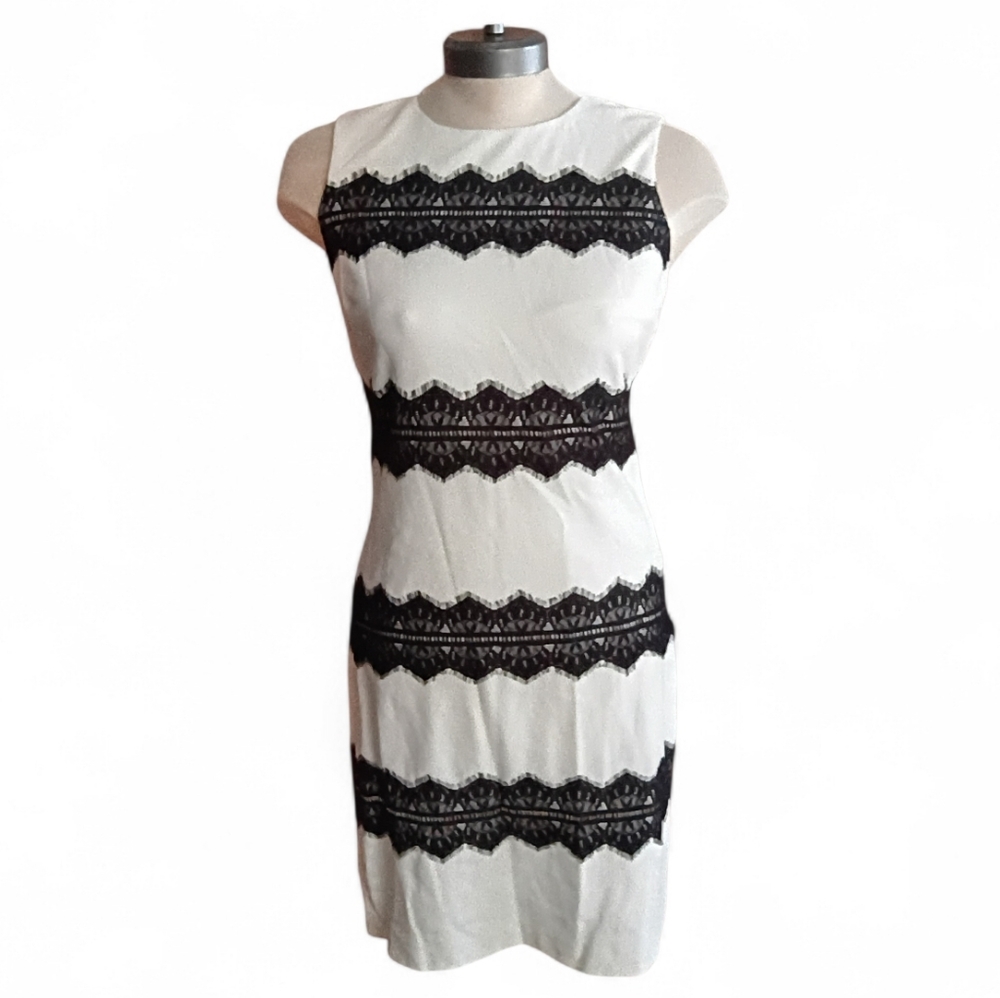 Badgley Mischka Black and White Lace Dress